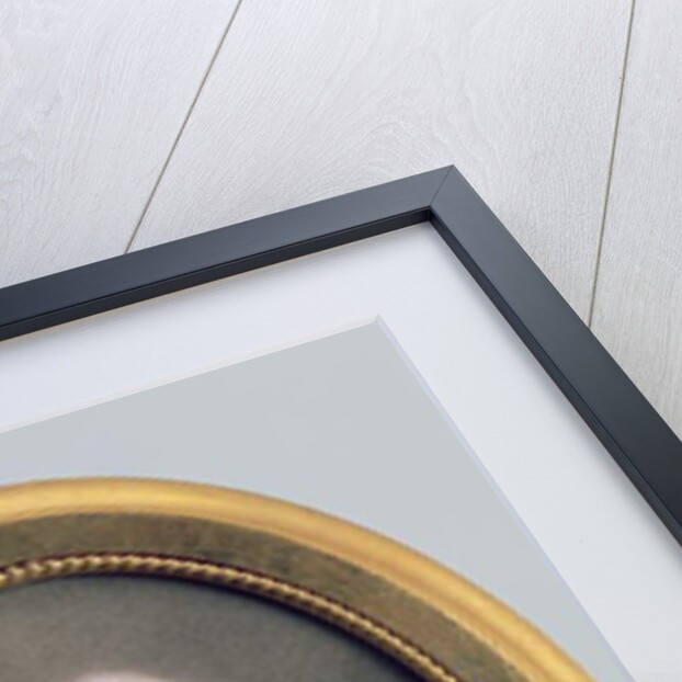 Portrait of Prince Charles Nicholas Othon of Nassau-Siegen, 1790 by Friedrich Heinrich Fuger