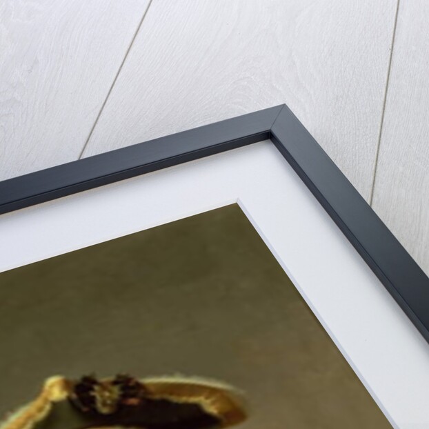 Portrait of Paul I, 1796-7 by Stepan Semenovich Shchukin