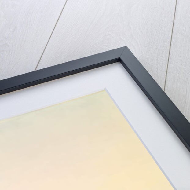 View of the Crimean coast near Oreanda, 1834 by Nikanor Grigor'evich Chernetsov