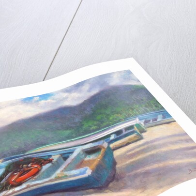 Beached, 2014 by Colin Bootman