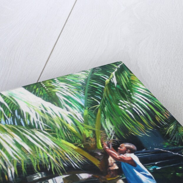 Coconut Shade, 2014 by Colin Bootman