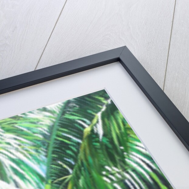 Coconut Shade, 2014 by Colin Bootman