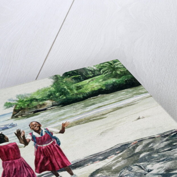 Recess at the Bay, 2002 by Colin Bootman