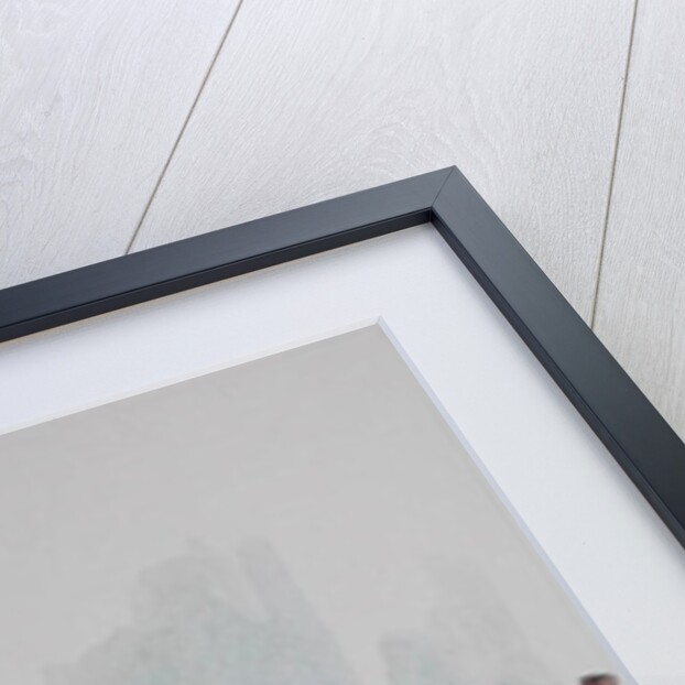 The Piano Lesson by Colin Bootman