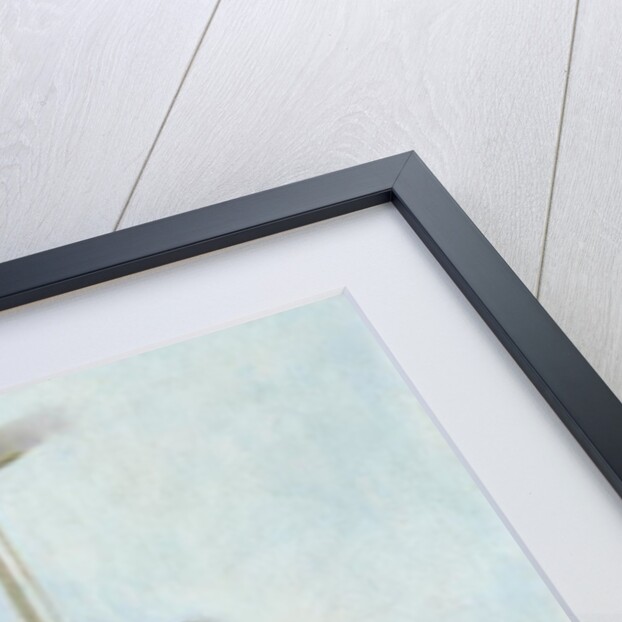 Sanitised Menus, 2001 by Colin Bootman