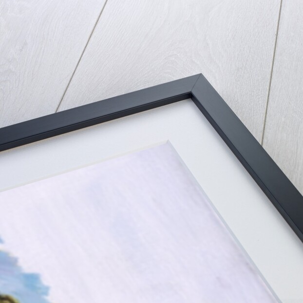 Inalienable, 2001 by Colin Bootman