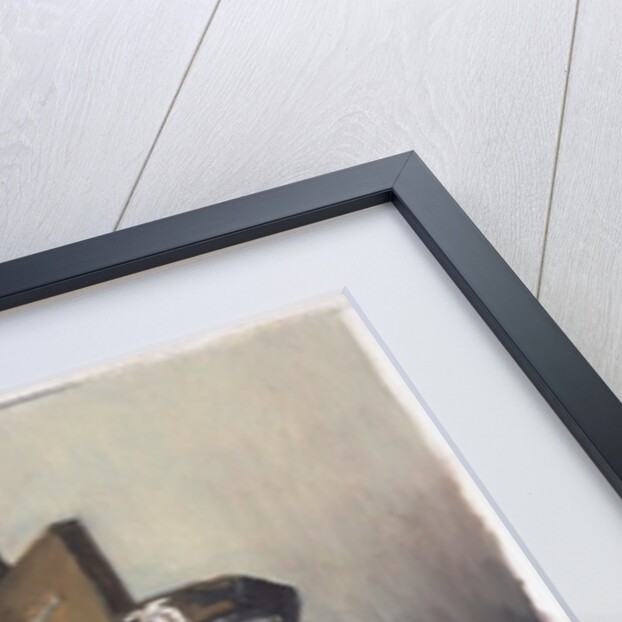 Identification, Rosa, 2001 by Colin Bootman