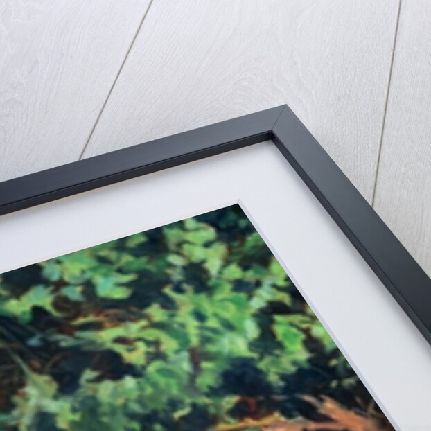 Jump by Colin Bootman