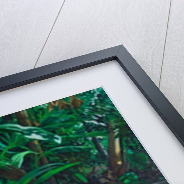 Grandfather and Child, 2010 by Colin Bootman