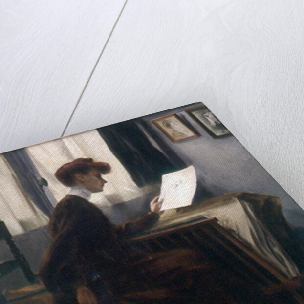 L'Amatrice de Dessins, 1904 by Jacques Palyart