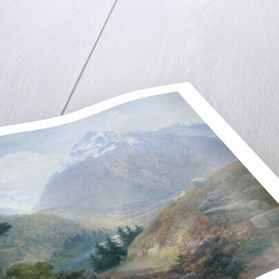 The View Toward the Fenderthal, Tyrol, 1870 by James Vivien de Fleury