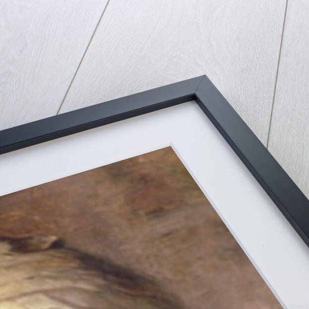 Study of a Girl in a Bonnet, 1890 by English School