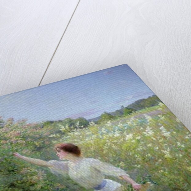 Wild Honeysuckle by Pierre Andre Brouillet