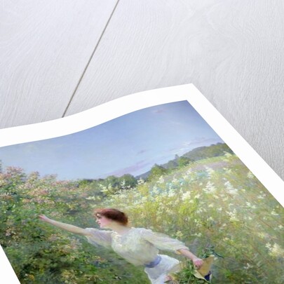 Wild Honeysuckle by Pierre Andre Brouillet