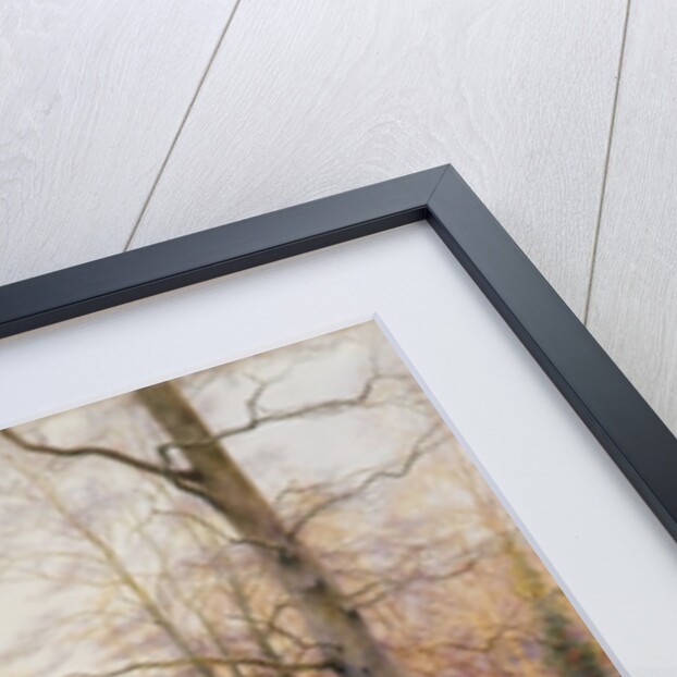 Autumn Woodland, c.1900 by Walter Follen Bishop