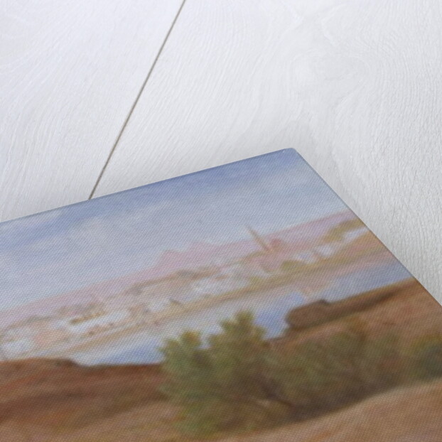 A Goat Herd near Cairo by Frederick Goodall