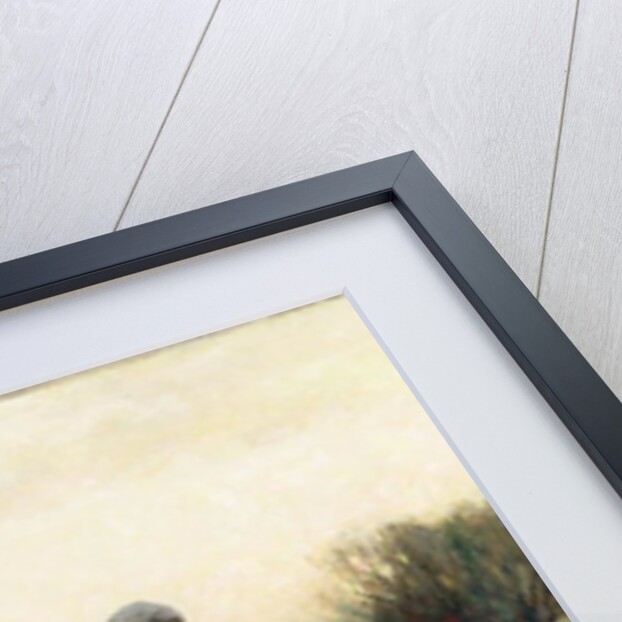 The Goose Girl by E. Aubrey Hunt