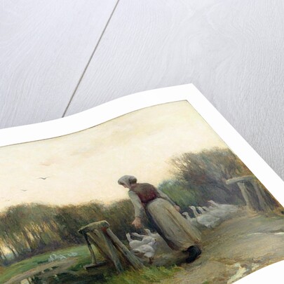 The Goose Girl by E. Aubrey Hunt