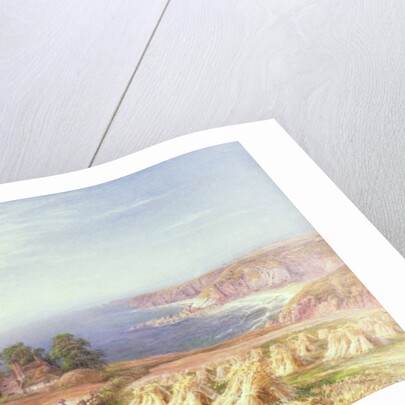 Harvest time by the Sea, 1881 by Edmund George Warren