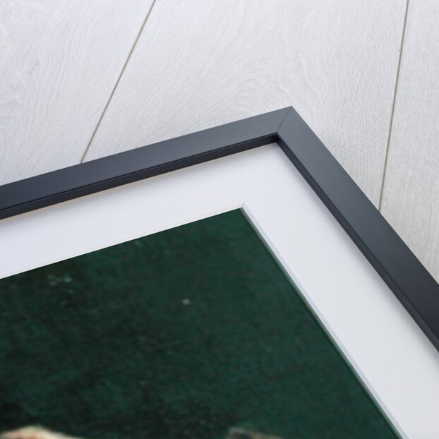 Study of a Young Woman by Harriet E. Ryder