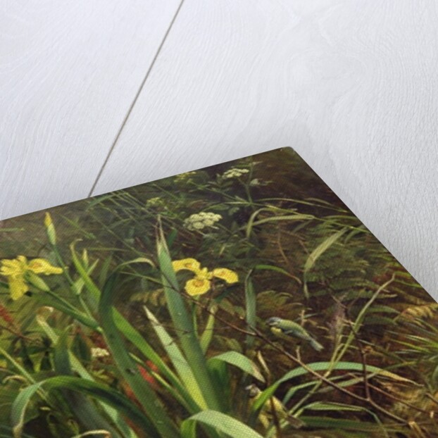 Bath Time, 1884 by Olaf August Hermansen