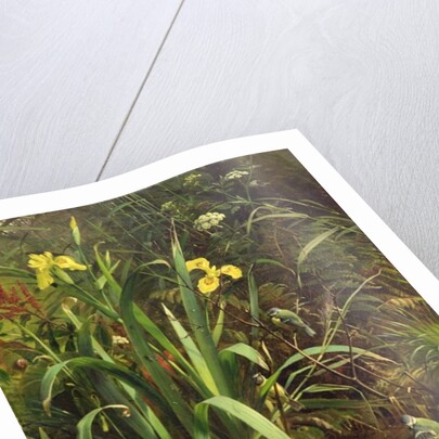 Bath Time, 1884 by Olaf August Hermansen