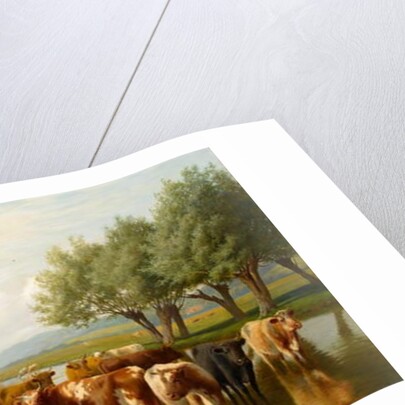 Cattle in a Water Meadow near Thanington, Kent, 1901 by William Sidney Cooper