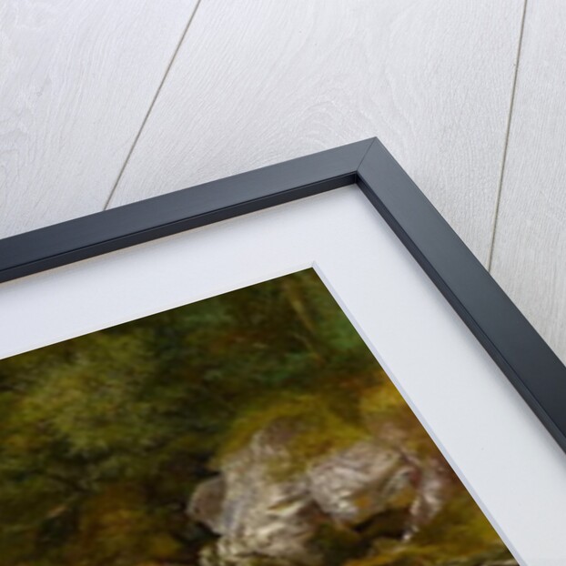 Waterfall on the River Conway, North Wales by R. Haddon