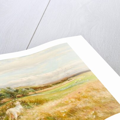 Cattle in a Water Meadow by Charles James Lewis