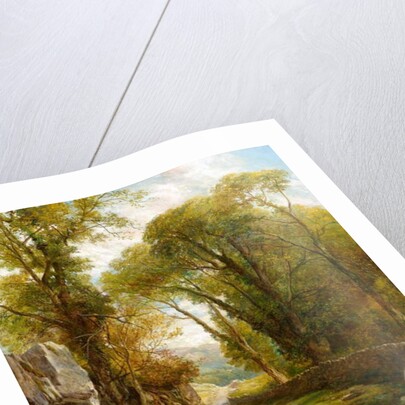 A Woodland Walk, 1872 by Frederick William Hulme