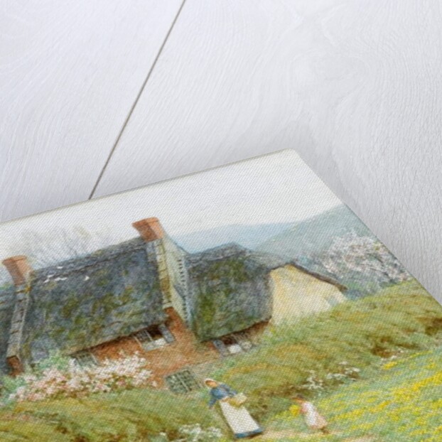Buttercups, Near Bridport, Dorset by Helen Allingham