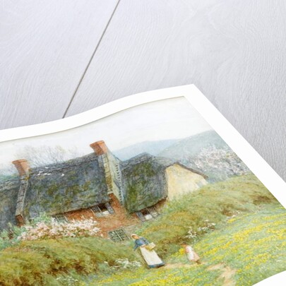 Buttercups, Near Bridport, Dorset by Helen Allingham