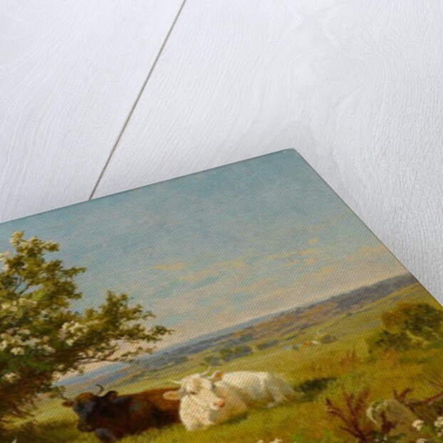 Cows in a Meadow, 1899 by Charles Collins