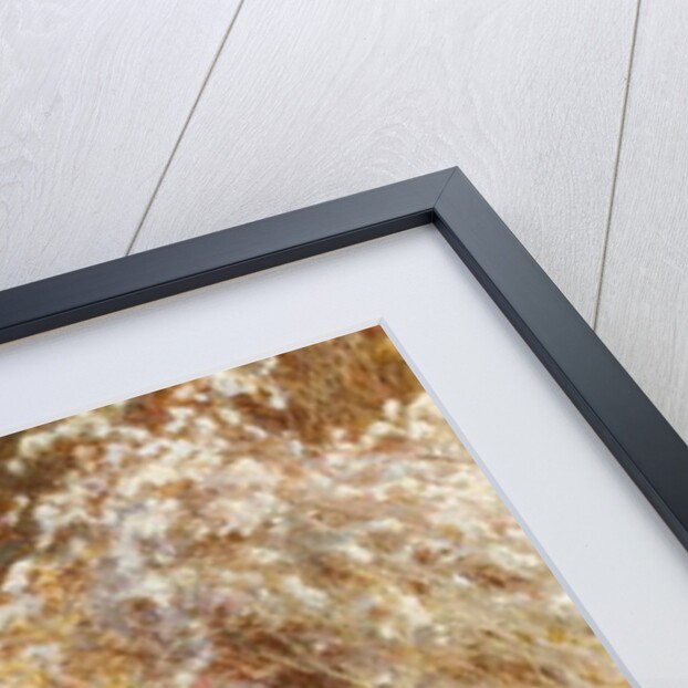 Traveller's Joy: A Surrey Hedgerow by Helen Allingham