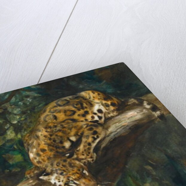 A Panther on a Branch by Cuthbert Edmund Swan