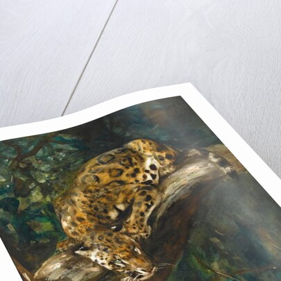 A Panther on a Branch by Cuthbert Edmund Swan