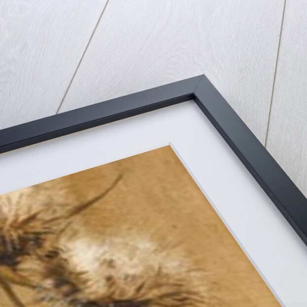 Butterfly on Thistle Heads by Edwin John Alexander