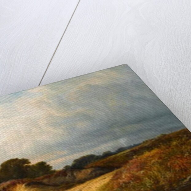 Sand Pits near Reigate, Surrey, 1869 by Walter Williams