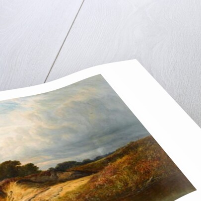 Sand Pits near Reigate, Surrey, 1869 by Walter Williams