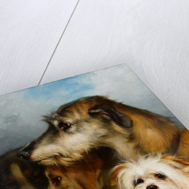 A Wolfhound and Sporting Companions, 1863 by Thomas Earl