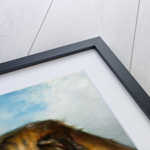 A Wolfhound and Sporting Companions, 1863 by Thomas Earl