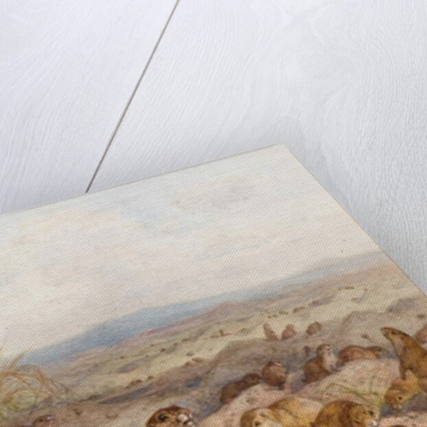 Marmots at their Burrows by August Specht