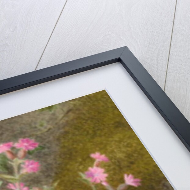 Rose Campions and Dandelion, 1875 by Marion Chase