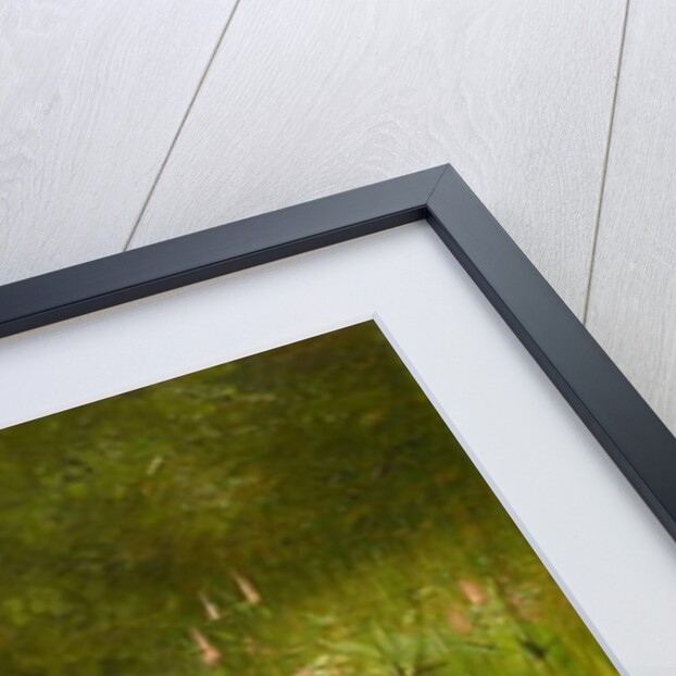 The Botanist…a perilous quest by Carl Ziermann