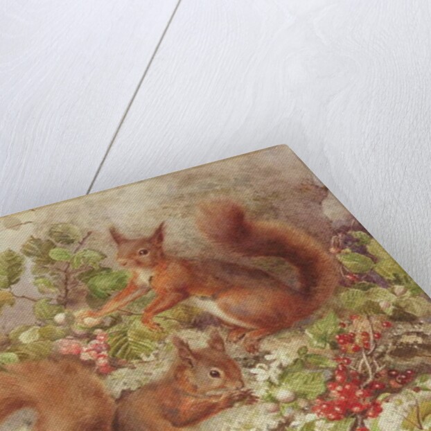 Red Squirrels Gathering Fruits and Nuts by Rosa Jameson