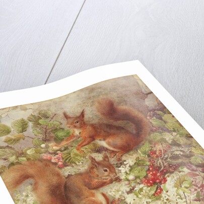 Red Squirrels Gathering Fruits and Nuts by Rosa Jameson