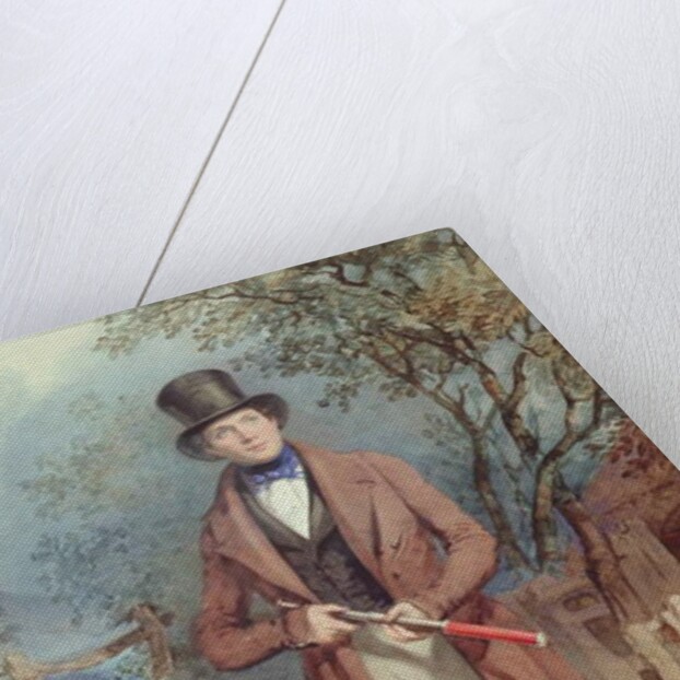 The Naturalist by Frederick Joseph Butler Lines