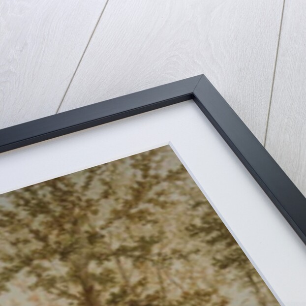 A View of the Same Railway Viaduct Seen from Above, c.1849 by F. S. Cook