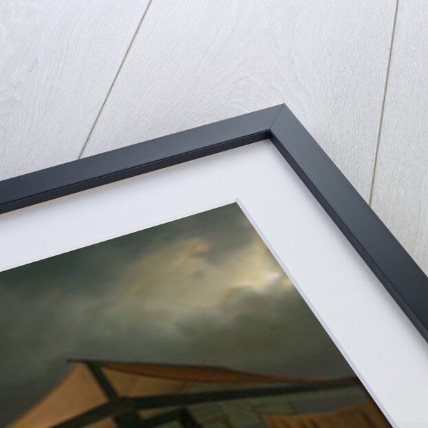 The Game Seller by Petrus van Schendel