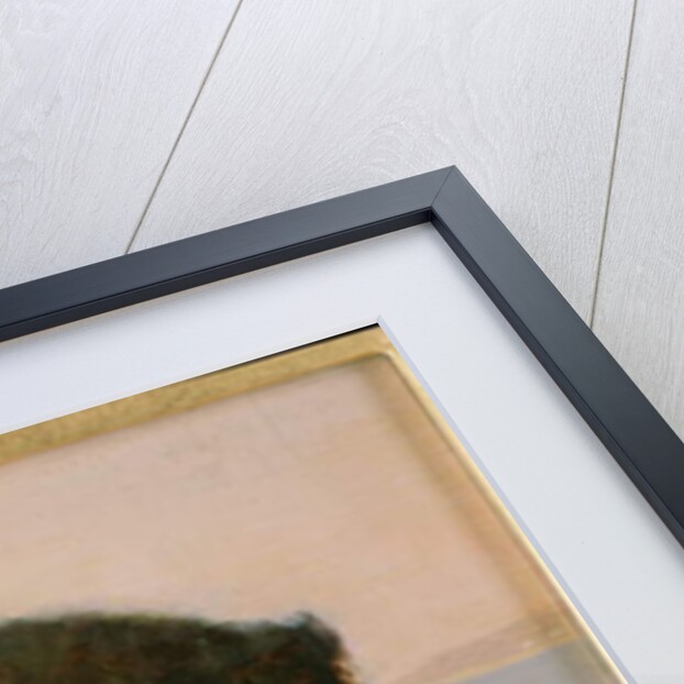 A Fishergirl, Newlyn by Edwin Harris